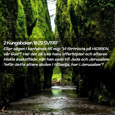 Picture 02 - 2 Kungaboken 18:22 SV1917 - Eller sägen I kanhända till mig: 'Vi - Bible Verse Picture