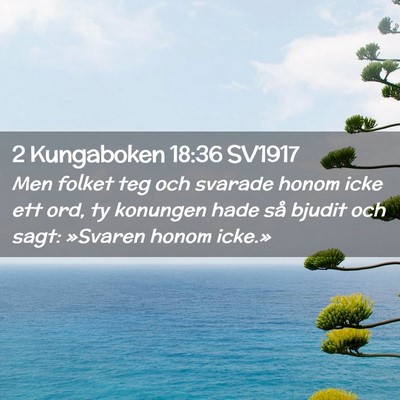 Picture 02 - 2 Kungaboken 18:36 SV1917 - Men folket teg och svarade honom icke ett ord, ty - Bible Verse Picture
