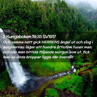 Picture 02 - 2 Kungaboken 19:35 SV1917 - Och samma natt gick HERRENS ängel ut och slog i - Bible Verse Picture