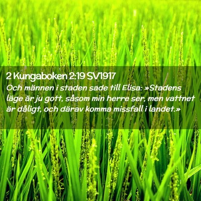 Picture 02 - 2 Kungaboken 2:19 SV1917 - Och männen i staden sade till Elisa: »Stadens - Bible Verse Picture