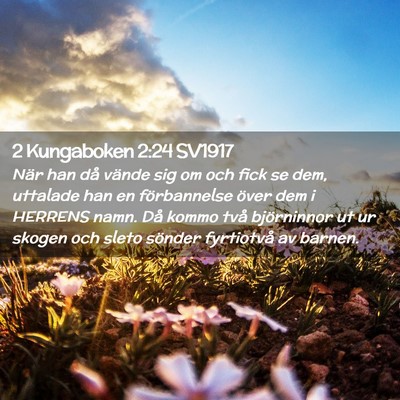 Picture 02 - 2 Kungaboken 2:24 SV1917 - När han då vände sig om och fick se dem, - Bible Verse Picture