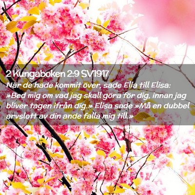 Picture 02 - 2 Kungaboken 2:9 SV1917 - När de hade kommit över, sade Elia till Elisa: - Bible Verse Picture