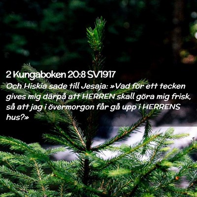 Picture 02 - 2 Kungaboken 20:8 SV1917 - Och Hiskia sade till Jesaja: »Vad för ett - Bible Verse Picture