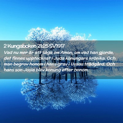 Picture 02 - 2 Kungaboken 21:25 SV1917 - Vad nu mer är att säga om Amon, om vad han - Bible Verse Picture