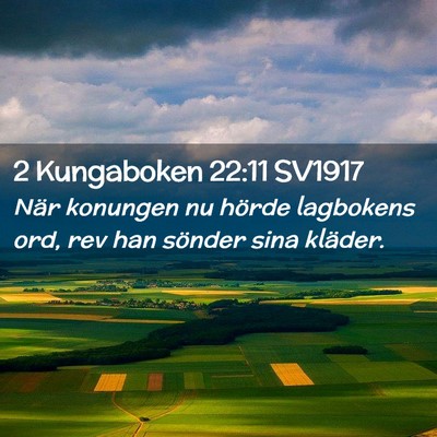 Picture 02 - 2 Kungaboken 22:11 SV1917 - När konungen nu hörde lagbokens ord, rev han - Bible Verse Picture