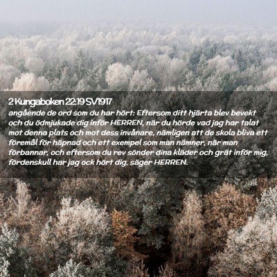 Picture 02 - 2 Kungaboken 22:19 SV1917 - angående de ord som du har hört: Eftersom ditt - Bible Verse Picture