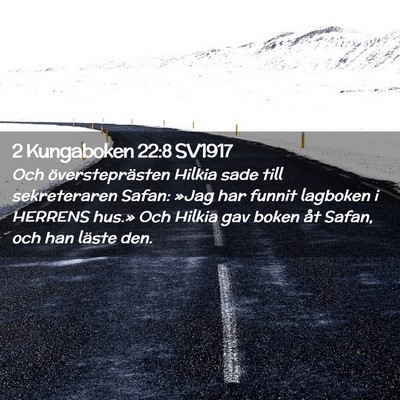 Picture 02 - 2 Kungaboken 22:8 SV1917 - Och översteprästen Hilkia sade till - Bible Verse Picture
