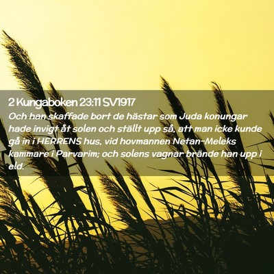 Picture 02 - 2 Kungaboken 23:11 SV1917 - Och han skaffade bort de hästar som Juda - Bible Verse Picture