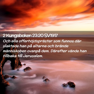 Picture 02 - 2 Kungaboken 23:20 SV1917 - Och alla offerhöjdspräster som funnos där - Bible Verse Picture