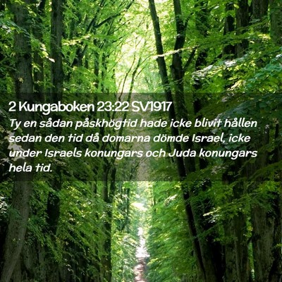 Picture 02 - 2 Kungaboken 23:22 SV1917 - Ty en sådan påskhögtid hade icke blivit - Bible Verse Picture