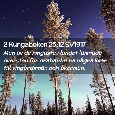 Picture 02 - 2 Kungaboken 25:12 SV1917 - Men av de ringaste i landet lämnade översten - Bible Verse Picture