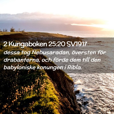 Picture 02 - 2 Kungaboken 25:20 SV1917 - dessa tog Nebusaradan, översten för - Bible Verse Picture