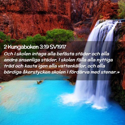 Picture 02 - 2 Kungaboken 3:19 SV1917 - Och I skolen intaga alla befästa städer och - Bible Verse Picture