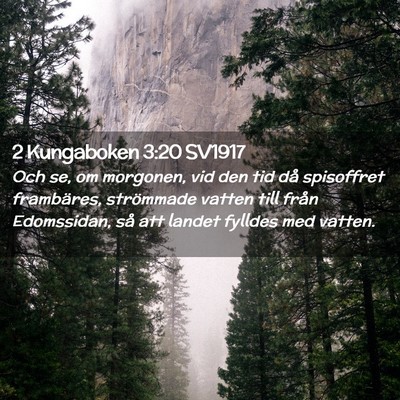 Picture 02 - 2 Kungaboken 3:20 SV1917 - Och se, om morgonen, vid den tid då spisoffret - Bible Verse Picture