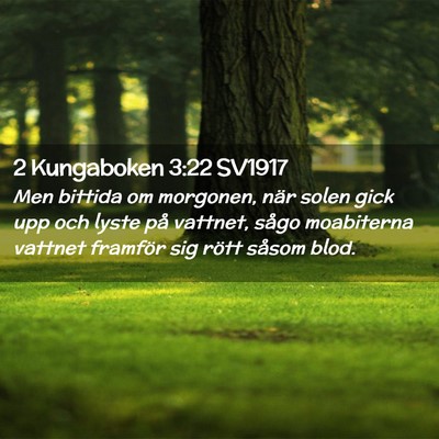 Picture 02 - 2 Kungaboken 3:22 SV1917 - Men bittida om morgonen, när solen gick upp och - Bible Verse Picture