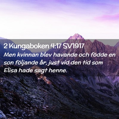Picture 02 - 2 Kungaboken 4:17 SV1917 - Men kvinnan blev havande och födde en son - Bible Verse Picture
