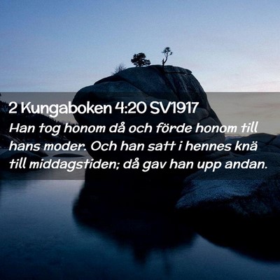 Picture 02 - 2 Kungaboken 4:20 SV1917 - Han tog honom då och förde honom till hans - Bible Verse Picture