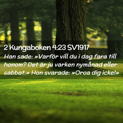 Picture 02 - 2 Kungaboken 4:23 SV1917 - Han sade: »Varför vill du i dag fara till - Bible Verse Picture