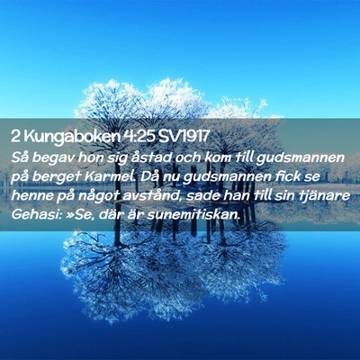 Picture 02 - 2 Kungaboken 4:25 SV1917 - Så begav hon sig åstad och kom till gudsmannen - Bible Verse Picture