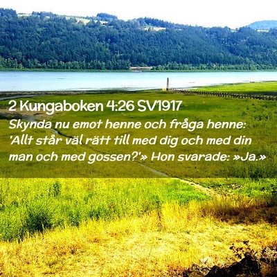 Picture 02 - 2 Kungaboken 4:26 SV1917 - Skynda nu emot henne och fråga henne: 'Allt - Bible Verse Picture