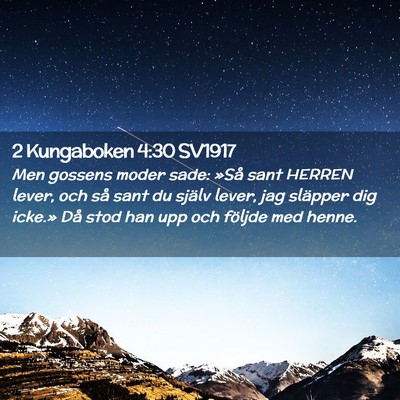 Picture 02 - 2 Kungaboken 4:30 SV1917 - Men gossens moder sade: »Så sant HERREN lever, - Bible Verse Picture