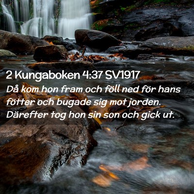 Picture 02 - 2 Kungaboken 4:37 SV1917 - Då kom hon fram och föll ned för hans fötter - Bible Verse Picture