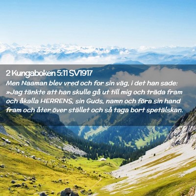 Picture 02 - 2 Kungaboken 5:11 SV1917 - Men Naaman blev vred och for sin väg, i det han - Bible Verse Picture