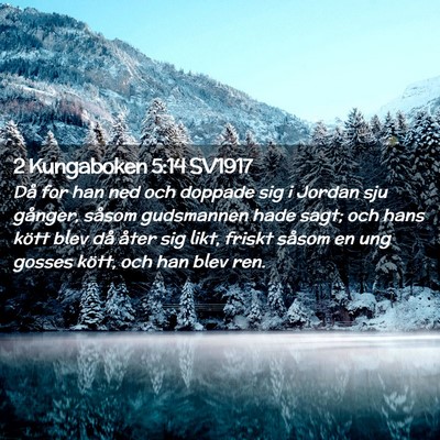 Picture 02 - 2 Kungaboken 5:14 SV1917 - Då for han ned och doppade sig i Jordan sju - Bible Verse Picture