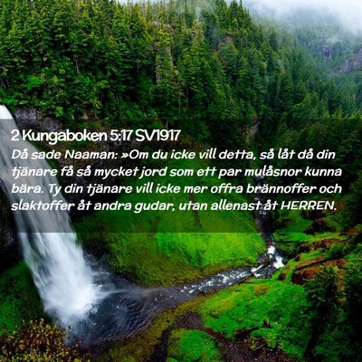 Picture 02 - 2 Kungaboken 5:17 SV1917 - Då sade Naaman: »Om du icke vill detta, så - Bible Verse Picture
