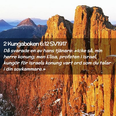 Picture 02 - 2 Kungaboken 6:12 SV1917 - Då svarade en av hans tjänare: »Icke så, min - Bible Verse Picture
