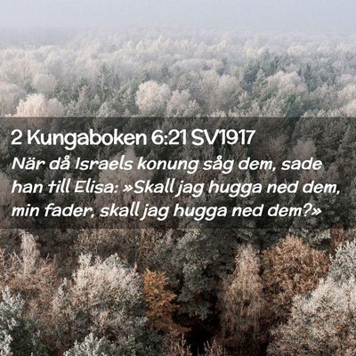 Picture 02 - 2 Kungaboken 6:21 SV1917 - När då Israels konung såg dem, sade han till - Bible Verse Picture