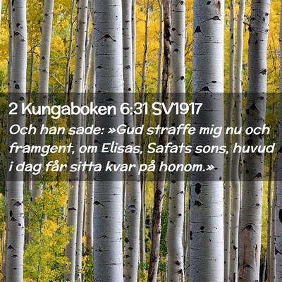 Picture 02 - 2 Kungaboken 6:31 SV1917 - Och han sade: »Gud straffe mig nu och framgent, - Bible Verse Picture