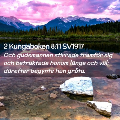 Picture 02 - 2 Kungaboken 8:11 SV1917 - Och gudsmannen stirrade framför sig och - Bible Verse Picture