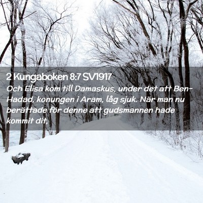 Picture 02 - 2 Kungaboken 8:7 SV1917 - Och Elisa kom till Damaskus, under det att - Bible Verse Picture