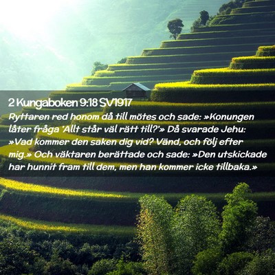 Picture 02 - 2 Kungaboken 9:18 SV1917 - Ryttaren red honom då till mötes och sade: - Bible Verse Picture