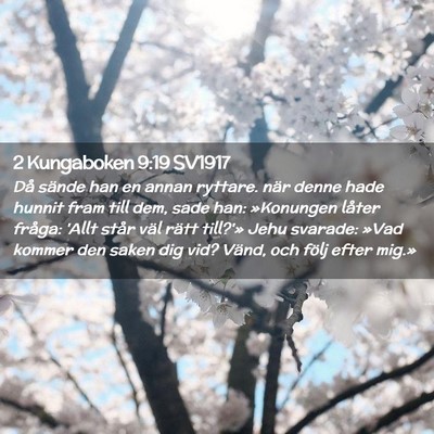 Picture 02 - 2 Kungaboken 9:19 SV1917 - Då sände han en annan ryttare. när denne hade - Bible Verse Picture