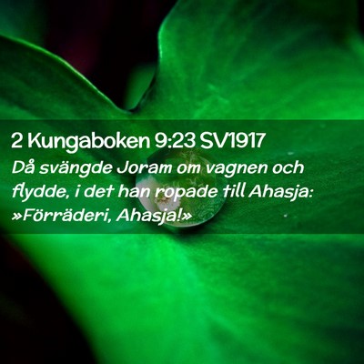 Picture 02 - 2 Kungaboken 9:23 SV1917 - Då svängde Joram om vagnen och flydde, i det - Bible Verse Picture