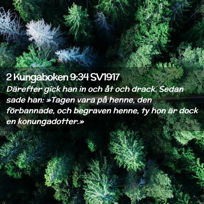 Picture 02 - 2 Kungaboken 9:34 SV1917 - Därefter gick han in och åt och drack. Sedan - Bible Verse Picture