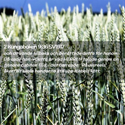 Picture 02 - 2 Kungaboken 9:36 SV1917 - och de vände tillbaka och berättade detta för - Bible Verse Picture