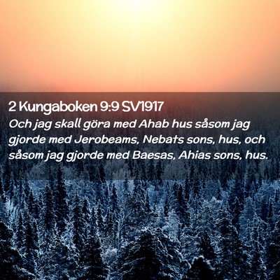 Picture 02 - 2 Kungaboken 9:9 SV1917 - Och jag skall göra med Ahab hus såsom jag - Bible Verse Picture