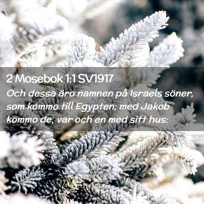 Picture 02 - 2 Mosebok 1:1 SV1917 - Och dessa äro namnen på Israels söner, som - Bible Verse Picture