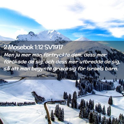 Picture 02 - 2 Mosebok 1:12 SV1917 - Men ju mer man förtryckte dem, dess mer - Bible Verse Picture