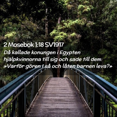 Picture 02 - 2 Mosebok 1:18 SV1917 - Då kallade konungen i Egypten hjälpkvinnorna - Bible Verse Picture