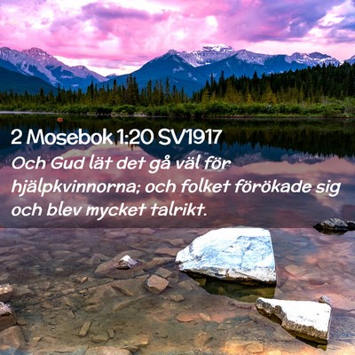 Picture 02 - 2 Mosebok 1:20 SV1917 - Och Gud lät det gå väl för hjälpkvinnorna; - Bible Verse Picture