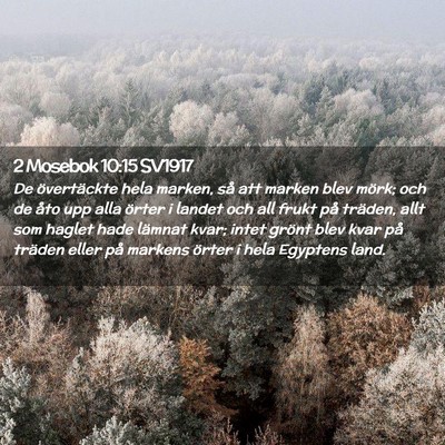 Picture 02 - 2 Mosebok 10:15 SV1917 - De övertäckte hela marken, så att marken blev - Bible Verse Picture
