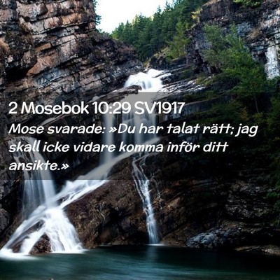 Picture 02 - 2 Mosebok 10:29 SV1917 - Mose svarade: »Du har talat rätt; jag skall - Bible Verse Picture