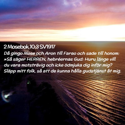 Picture 02 - 2 Mosebok 10:3 SV1917 - Då gingo Mose och Aron till Farao och sade till - Bible Verse Picture