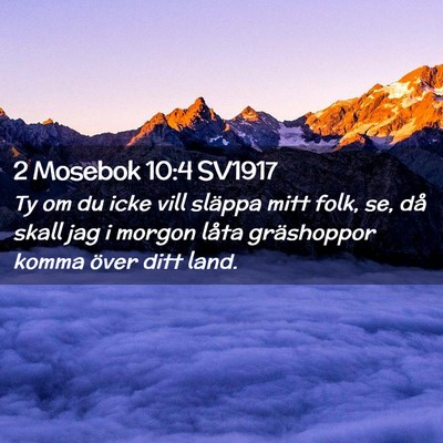 Picture 02 - 2 Mosebok 10:4 SV1917 - Ty om du icke vill släppa mitt folk, se, då - Bible Verse Picture