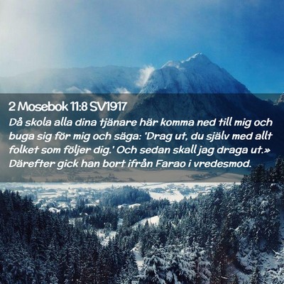 Picture 02 - 2 Mosebok 11:8 SV1917 - Då skola alla dina tjänare här komma ned till - Bible Verse Picture