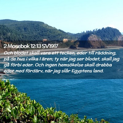 Picture 02 - 2 Mosebok 12:13 SV1917 - Och blodet skall vara ett tecken, eder till - Bible Verse Picture